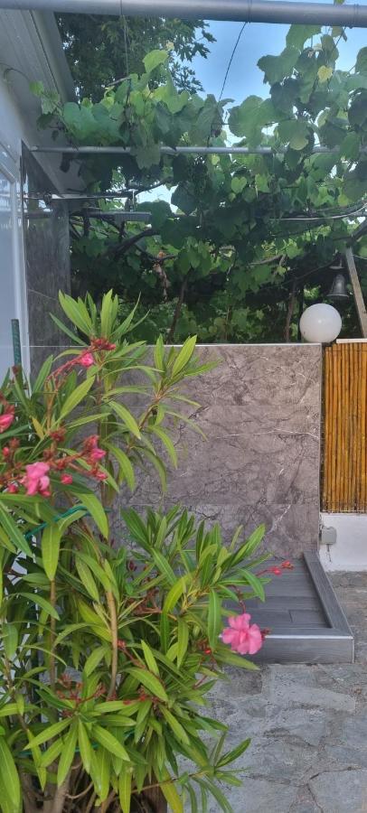 Anna Christina Apartments เมตามอร์โฟซี ภายนอก รูปภาพ
